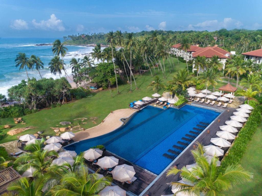 The main pool, long and blue, edged with white umbrellas and loungers on a lawn, with palms and the sea beyond